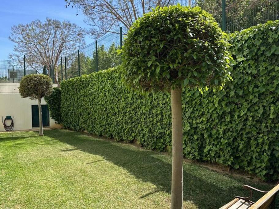 Three Bedroom Apartment, Prime Javea Location المظهر الخارجي الصورة